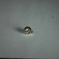 ganz kleine indische Kreuzschelle 10 mm