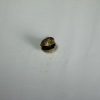 kleine indische Schelle oval 12 mm